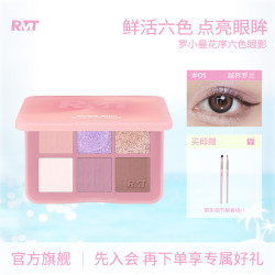 ROMANTICBEAUTY 罗小曼六色眼影新手哑珠光大地色高光修容牛郎彩妆便携眼影盘
