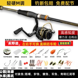 路亚竿套装新手入门路亚鱼竿全套装水滴一整套纺车远投竿海竿抛竿