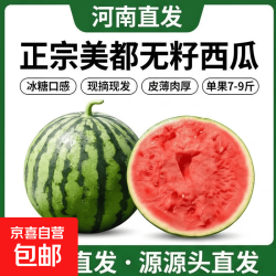 京喜 正宗冰糖麒麟美都有籽西瓜新鲜现摘现发皮薄肉甜河南夏邑源头直发 7-9斤1粒（净重7斤+）
