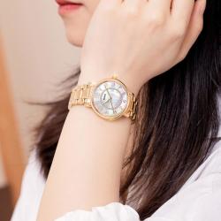 BEGEEL 机械女表品牌高级感轻奢女表气质礼物女士手表防水全自动机械表