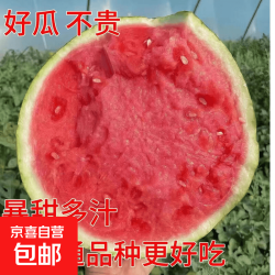 京喜 麒麟美都 头茬无籽西瓜 5-7斤 新鲜现摘