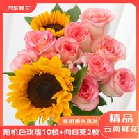 京东鲜花 云南昆明基地鲜花色玫瑰10枝+向日葵5枝生活鲜花源头直发