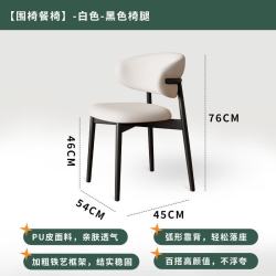 OLOEY 创意家居家用现代简约轻奢北欧靠背意式靠背休闲其他日杂小件 黑色框架+白色坐垫 2把