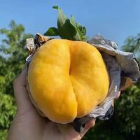 特大果 山东蒙阴 黄金蟠桃 2.25斤装 4-7个