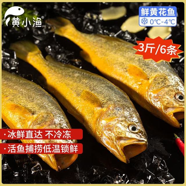 黄小渔 宁德大黄鱼3斤/6条 黄花鱼生鲜海鲜 家宴送礼源头直发
