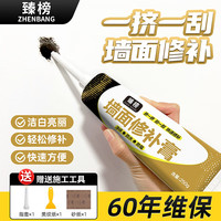 臻榜 墙面修补膏 250g*1支 白色 防水防霉腻子粉
