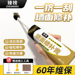 臻榜 墙面修补膏 250g*1支 白色 防水防霉腻子粉
