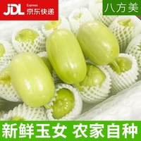 移动端：八方美 山东省 金童玉女黄瓜 3斤