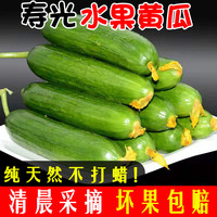 移动端：千禧颂 Millennium Song 千禧颂 山东水果黄瓜 4.5斤