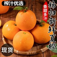 蓝君 中国大陆 秭归夏橙 3斤