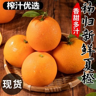 蓝君 中国大陆 秭归夏橙 3斤