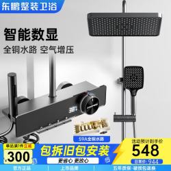 东鹏 花洒淋浴套装 增压花洒浴室喷头 数显全铜水路 枪灰