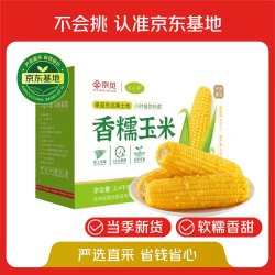 玉小胖 东北黄糯玉米棒 5斤 10支 真空包装