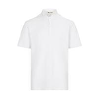  Massimo Dutti 男士Polo衫