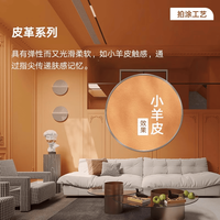 立邦 魔术漆小羊皮效果50平涂料艺术漆室内环保包工包料