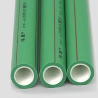 伟星 PPR纳米瓷芯水管 4分20*2.8三米/20条