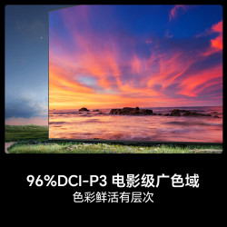 海信 电视E3S Pro 65吋 96%色域高刷  杜比全景声U+超画质引擎Pro 无频闪低蓝光E3NHPro