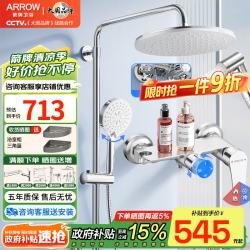 箭牌 精铜龙头淋浴花洒套装增压花洒喷头手持花洒全套莲蓬头淋浴器全套 AE34214CP-P