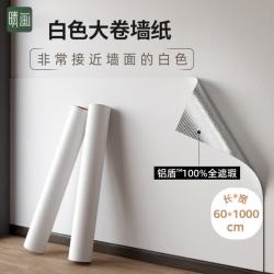晴画 防撞墙贴自粘防水防潮壁纸 60*1000cm 白色