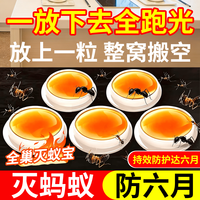 拥彩 蚂蚁药胶饵10粒装