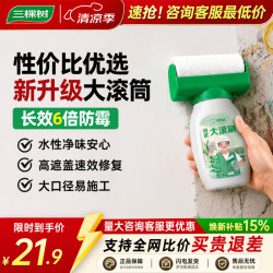 三棵树 墙面补墙漆修补膏 500g 白色