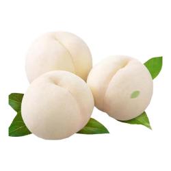 静益乐源 丹江奶油白桃  5斤中果单果90-120g