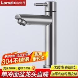 莱尔诗丹 LD5361 304不锈钢面盆龙头 单冷水龙头