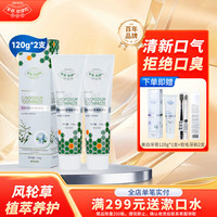 合和泰 蜂胶风轮草清新牙膏 本草牙膏 平衡口腔菌群 清新口气牙膏 120g*2支