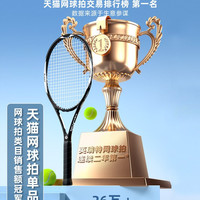 移动端：英瑞特 Inrit 英瑞特 碳素系列 网球拍 YRT-WQPDXSX001 单拍 成人