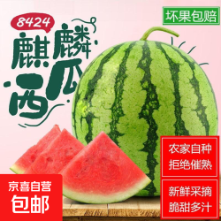 麒麟西瓜水果新鲜有籽西瓜8424美都薄皮脆甜可口 5-6斤