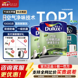 多乐士 朗萃竹炭抗甲醛五合一净味室内乳胶漆墙面抗菌油漆涂料白色A8146B 15L套装