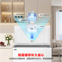 容声 300一级能效节能省电大容量冰柜冷藏冷冻转换减霜单温高效低噪卧式冷柜冰箱 BD/BC-300E10HNLBJ
