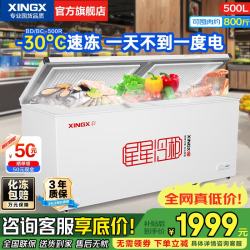 星星 冰柜500升 商用冰柜500R