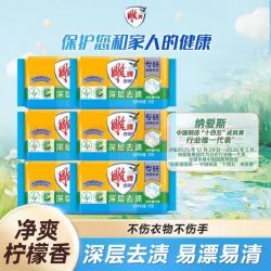 雕牌 洗衣皂 102g*6块 净爽青柠香