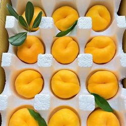 特大果 山东蒙阴 黄金蟠桃 2.25斤装 4-7个
