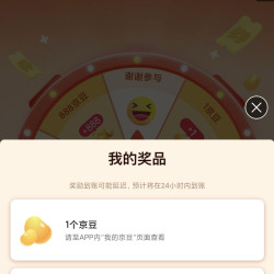 惊喜大转盘刚试13个京豆