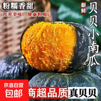 京喜 板栗味小南瓜宝宝辅食代餐新鲜粉糯甜老南瓜批发 贝贝南瓜 10斤 带箱
