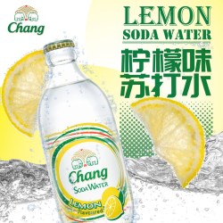 象牌 泰象苏打水 325ml*12