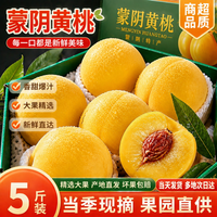 春福乐 蒙阴黄桃净重4.5斤 新鲜应季现摘现发香甜多汁黄金蜜桃孕妇