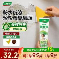 三棵树 DS-SCA500 防水抗渗修补膏 250G*2支 白色