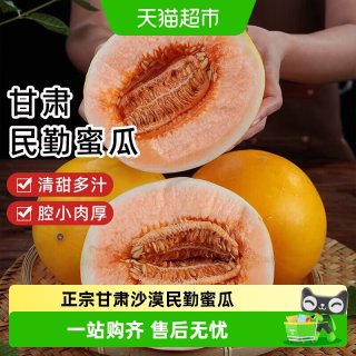 樱洛华 甘肃金红宝蜜瓜 2-9斤 箱装