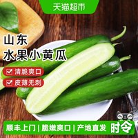 88VIP：樱洛华 山东 水果黄瓜 1500g/2250g