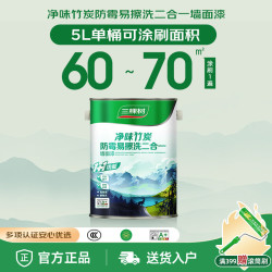 三棵树 乳胶漆内墙净味竹炭防霉易擦洗二合一墙面漆室内油漆涂料 5L