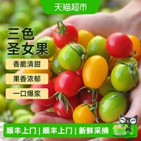 88VIP：胡鲜森 山东潍坊 三色小番茄 3斤起