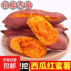 2026新鲜现挖西瓜红蜜薯红心蜜薯直播间源头直发 5斤中小果 含箱