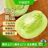 88VIP：胡鲜森 山东省 金童玉女黄瓜 2斤 箱装
