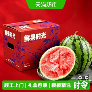 果果 山东2K小西瓜 薄皮红肉脆甜 生鲜水果