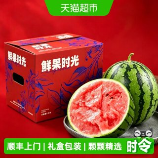 果果 山东2K小西瓜 薄皮红肉脆甜 生鲜水果