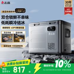 志高 A39 车载冰箱 45dB 55W