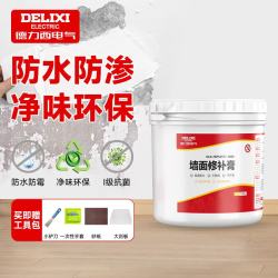 德力西 补墙膏墙面修补膏腻子粉白色墙面修补内墙乳胶漆防水防渗1000g